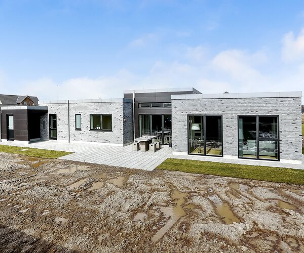 Fejerskovparken, Lind