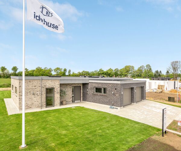 Østerlindparken, Lind